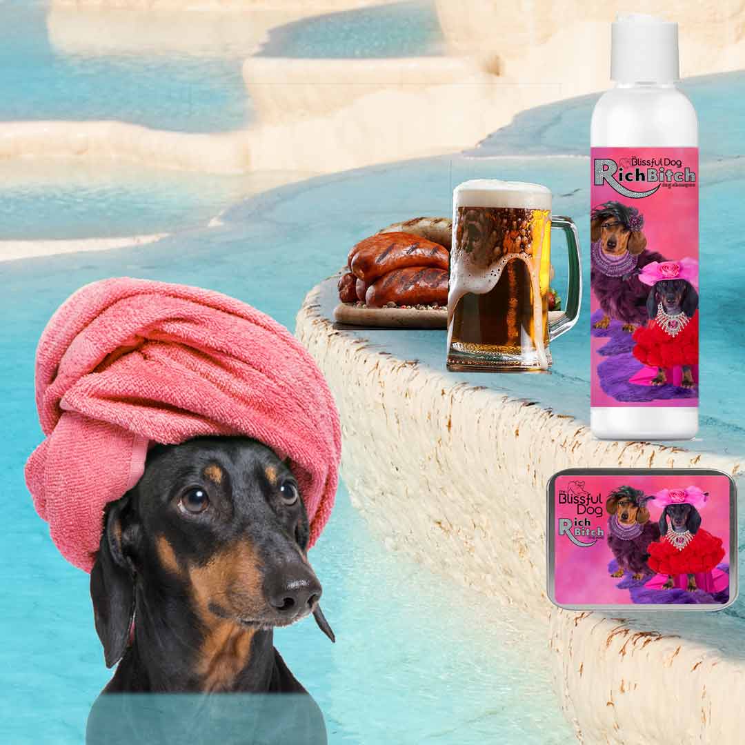 Best dog new arrivals shampoo for dachshunds