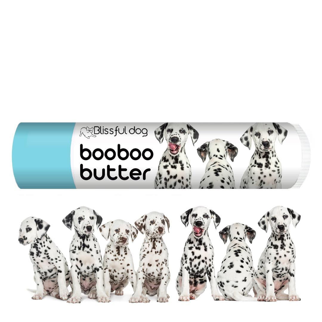 Dalmatian allergies sales