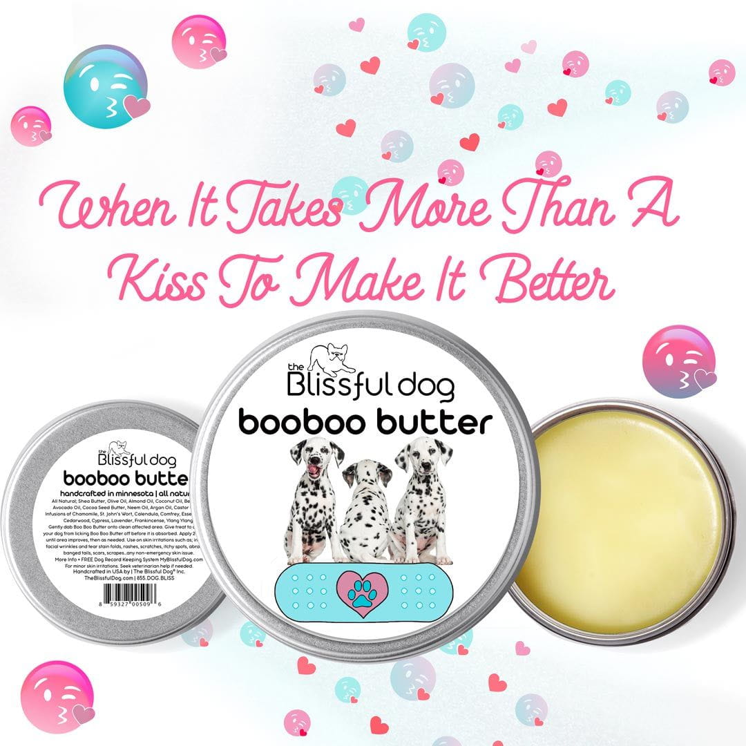 dalmatian itchy skin salve