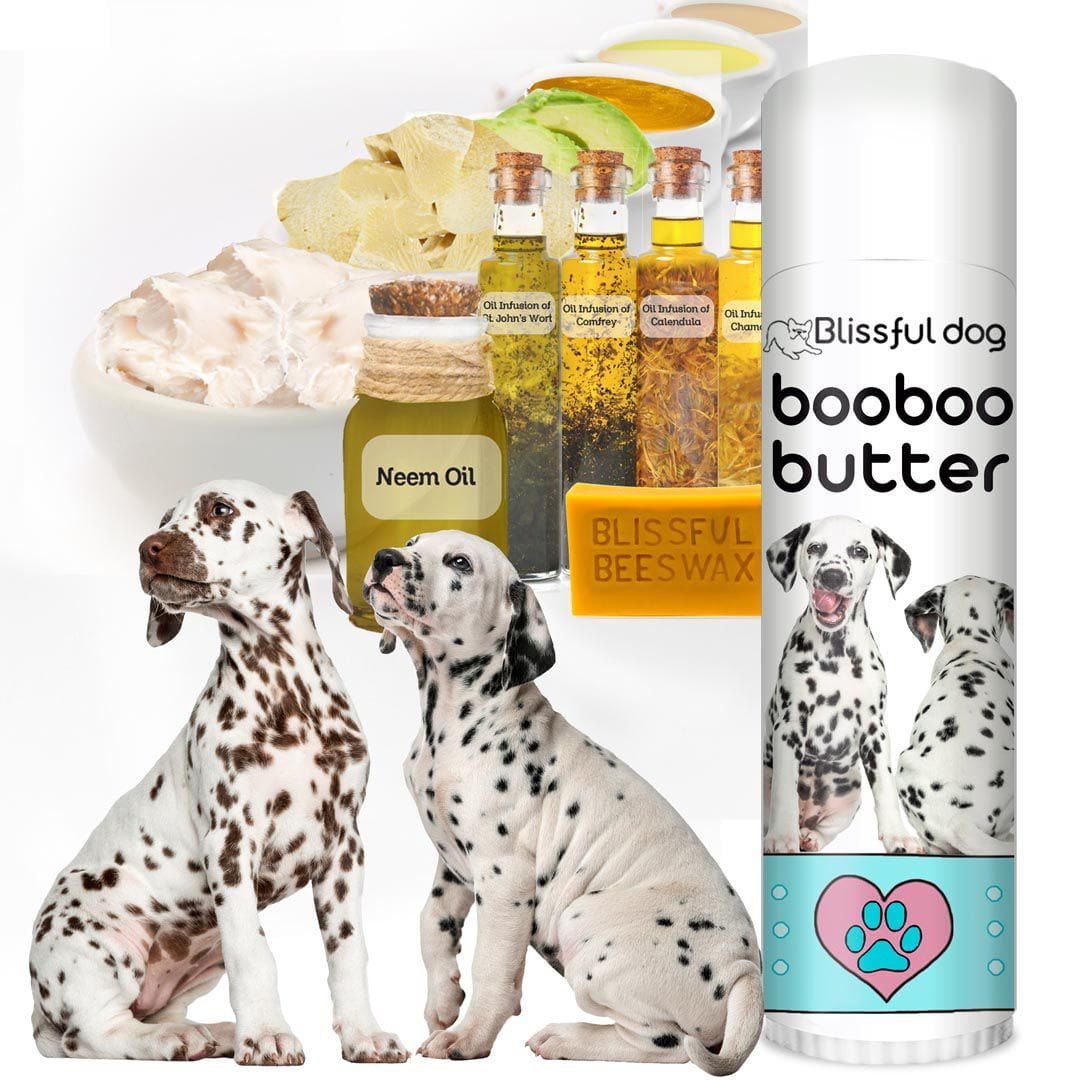 The Blissful Dog Boo Boo Butter Balm for Minor Dog Skin Irritations