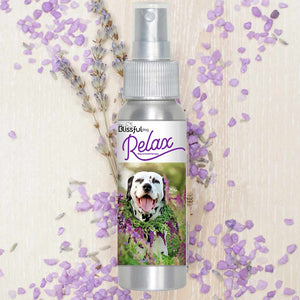 Dalmatian calming spray