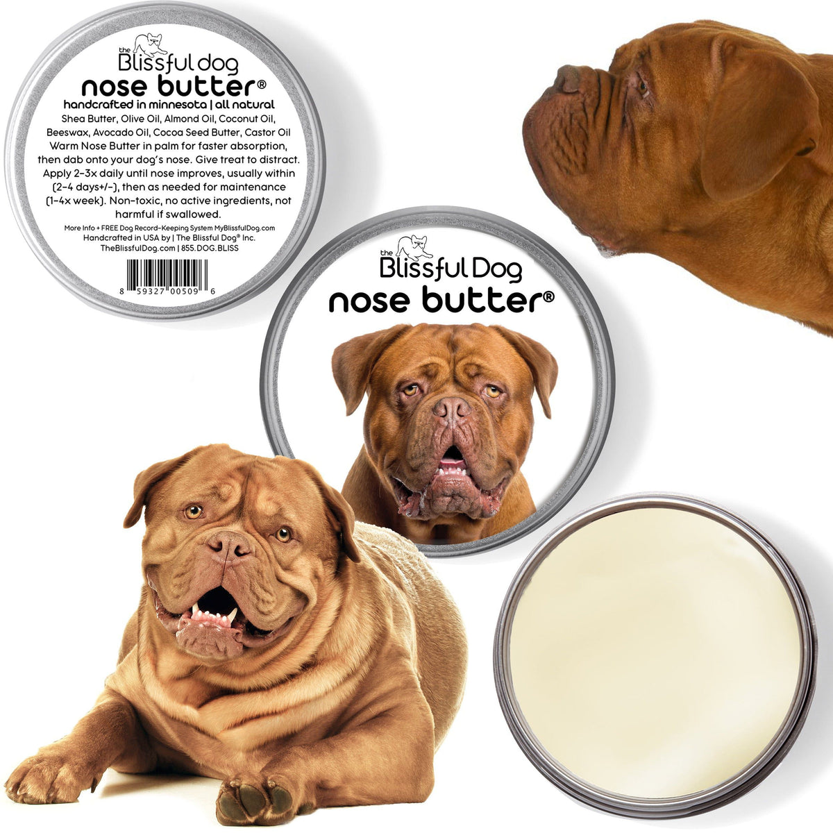 dogue de bordeaux rough nose
