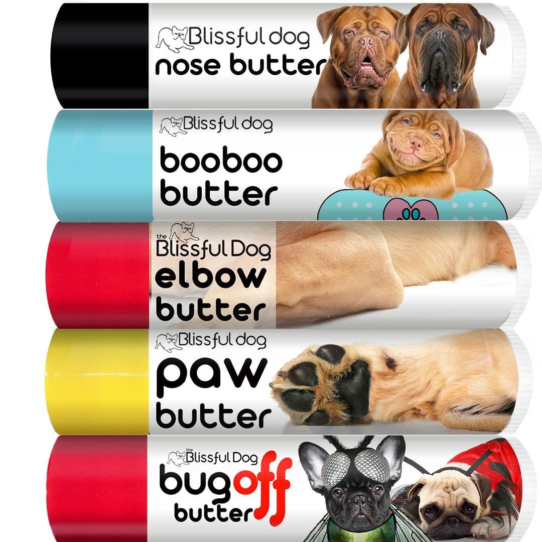 dogue de bordeaux puppy care