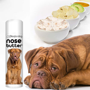 what to do for dry Dogue de Bordeaux Nose