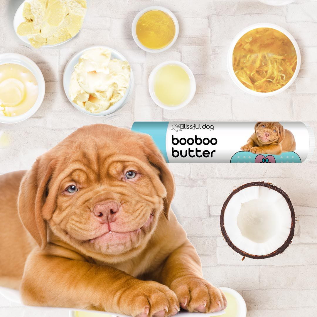 Dogue de sales bordeaux puppy food