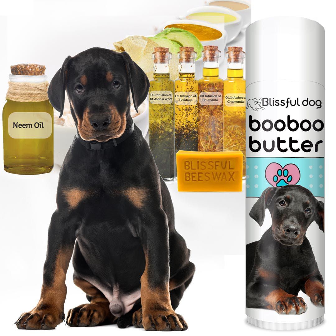 Boo Boo Butter for Doberman Pinscher Skin Irritations Itchy Spots
