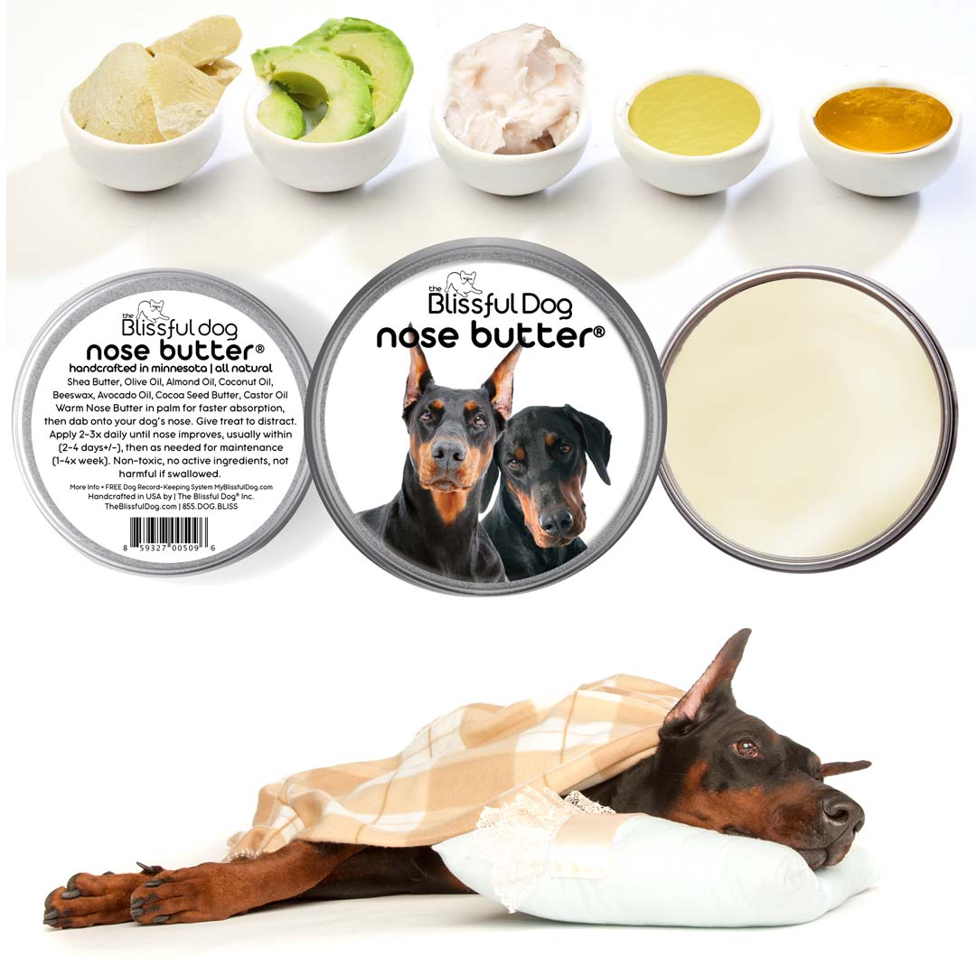 Doberman Pinscher Care for Healthy Noses Paws Elbows Itchy Skin