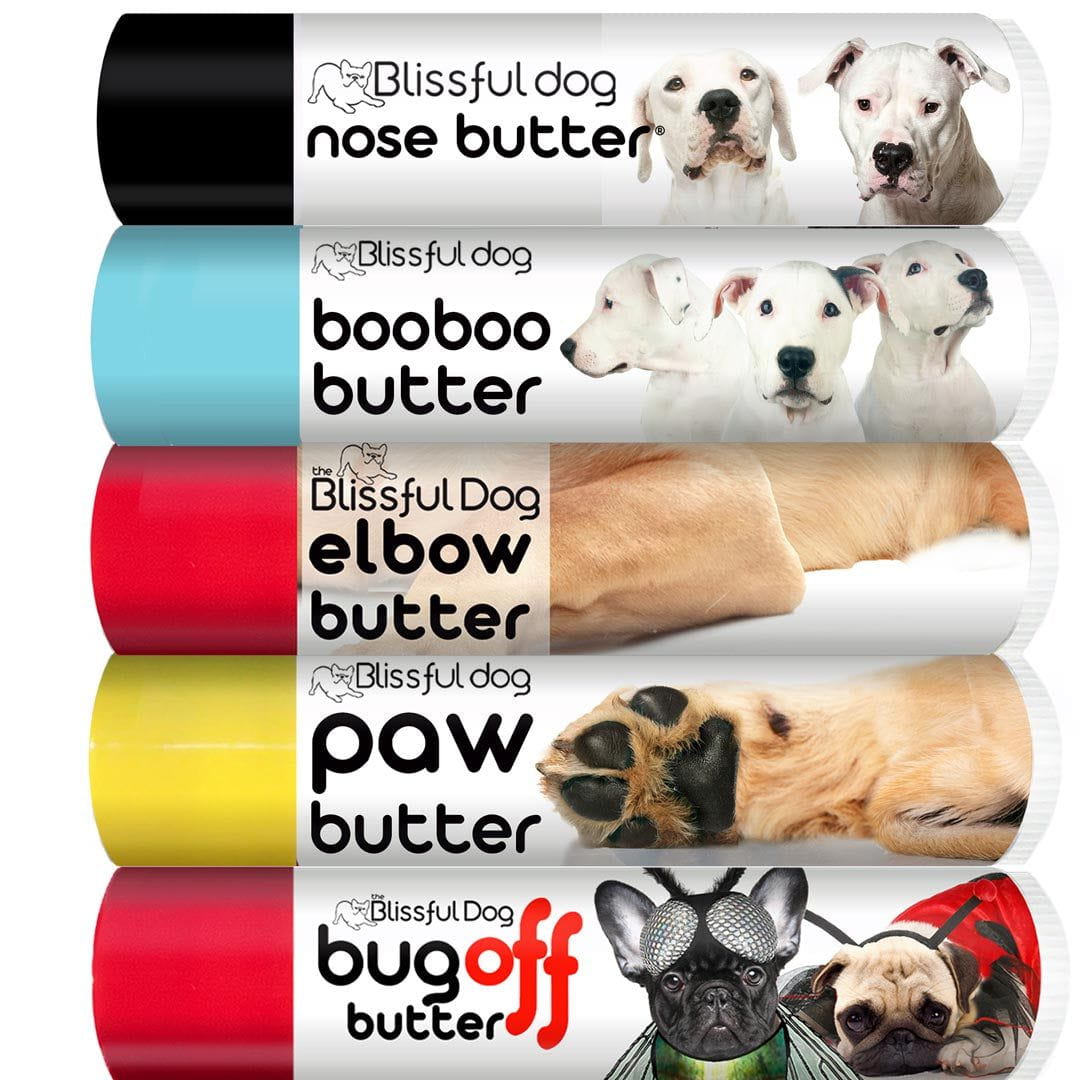 Dogo Argentino Tube Combo