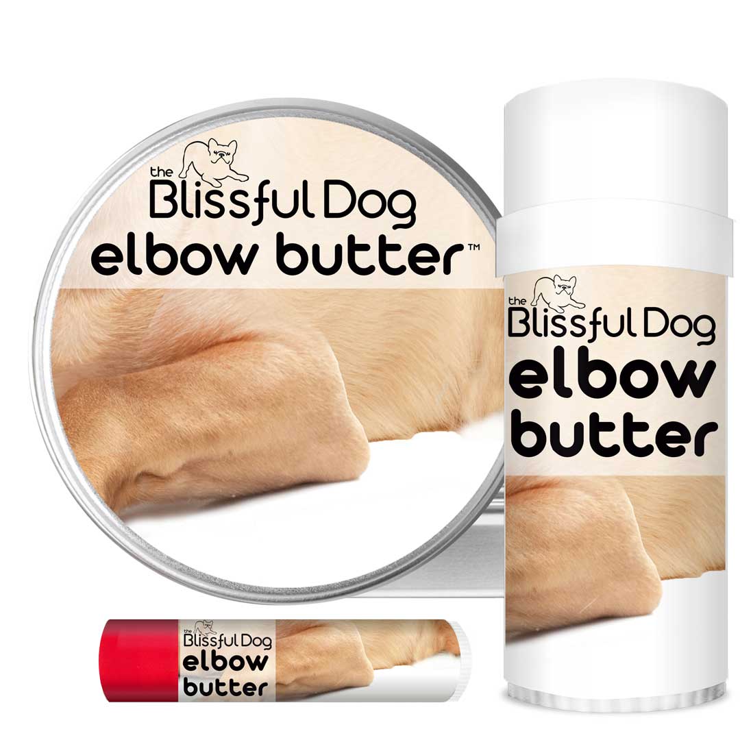 dog elbow callus treatment