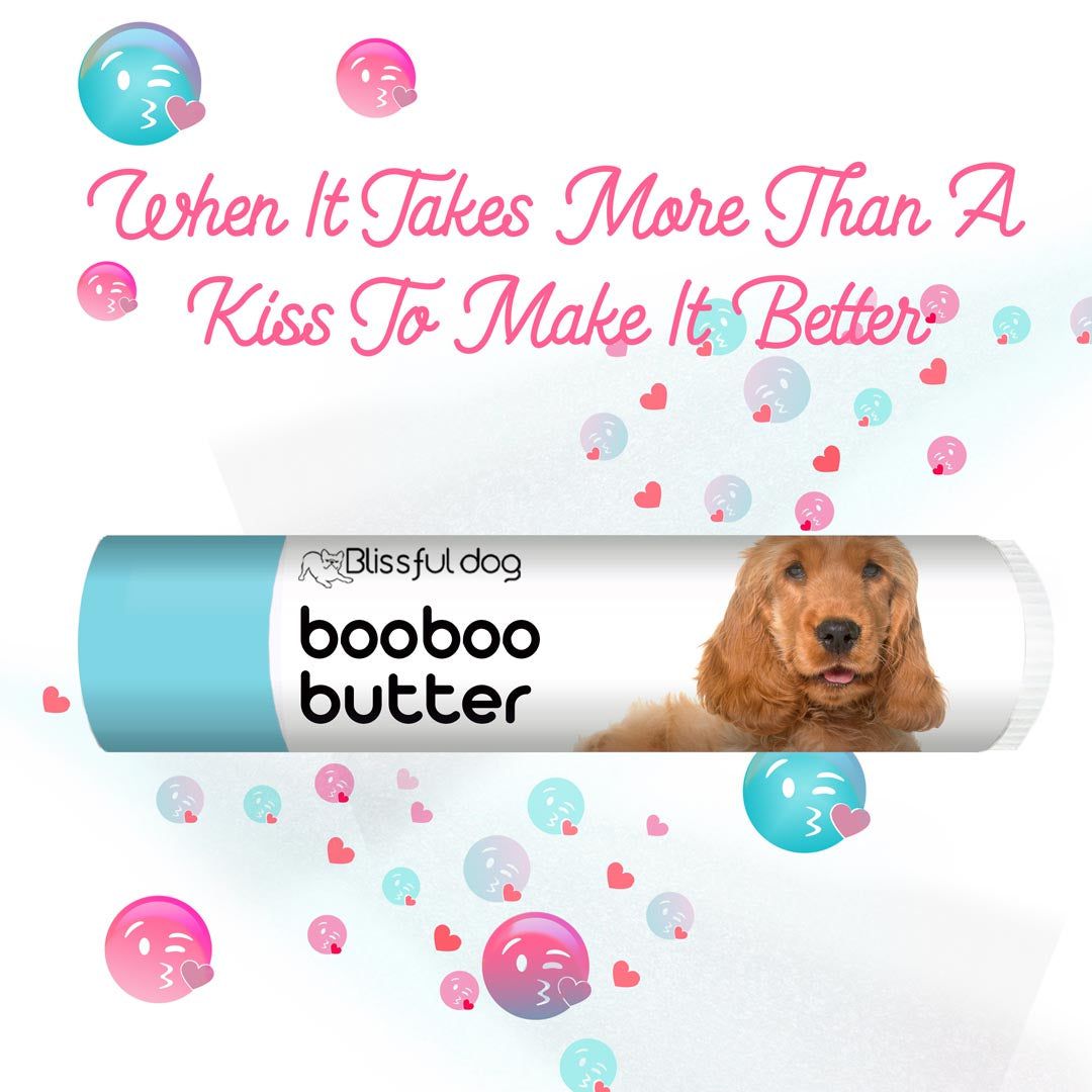 english cocker spaniel itchy skin