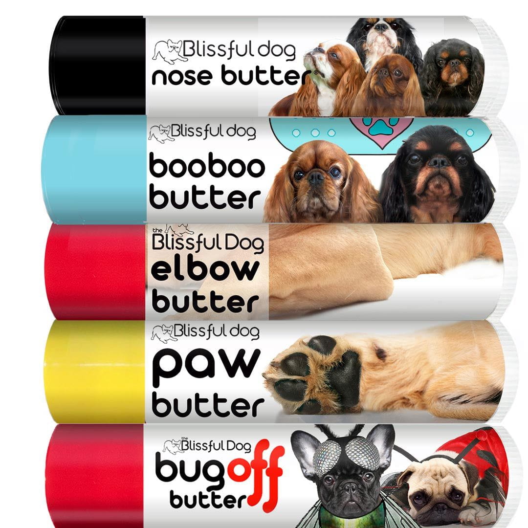 English Toy Spaniel paw balm