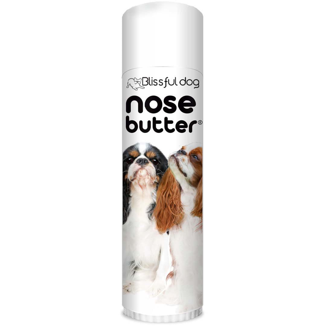 English Toy Spaniel Nose balm