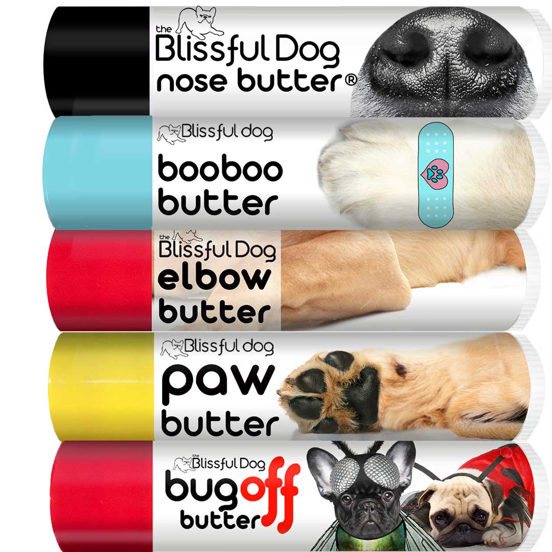 A Every Dog Nose Custom Combo