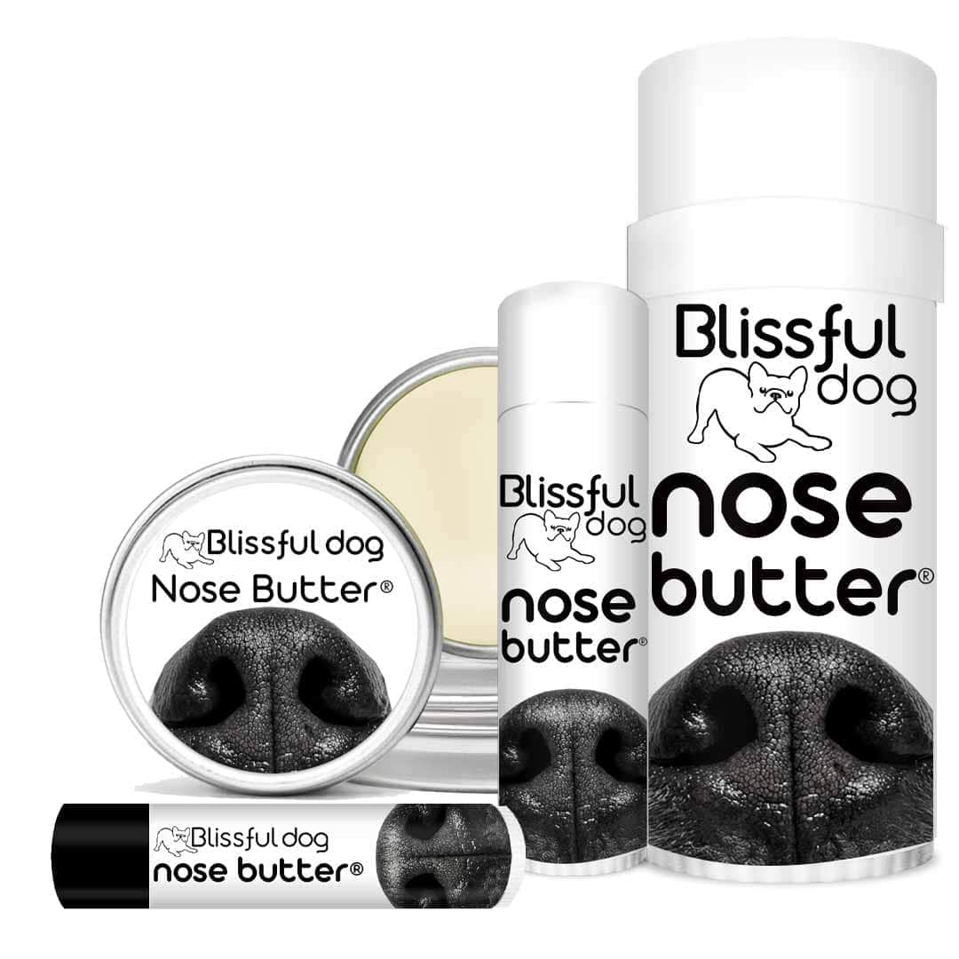 Nose butter hot sale for dogs