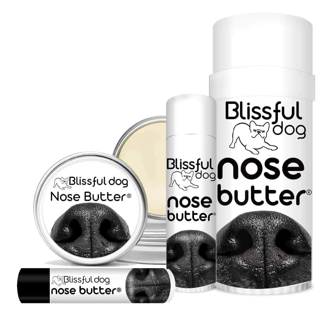 The Blissful Dog Bulldog Nose Butter® – Treatment For Dry, Crusty Dog Noses (USA) - View #2