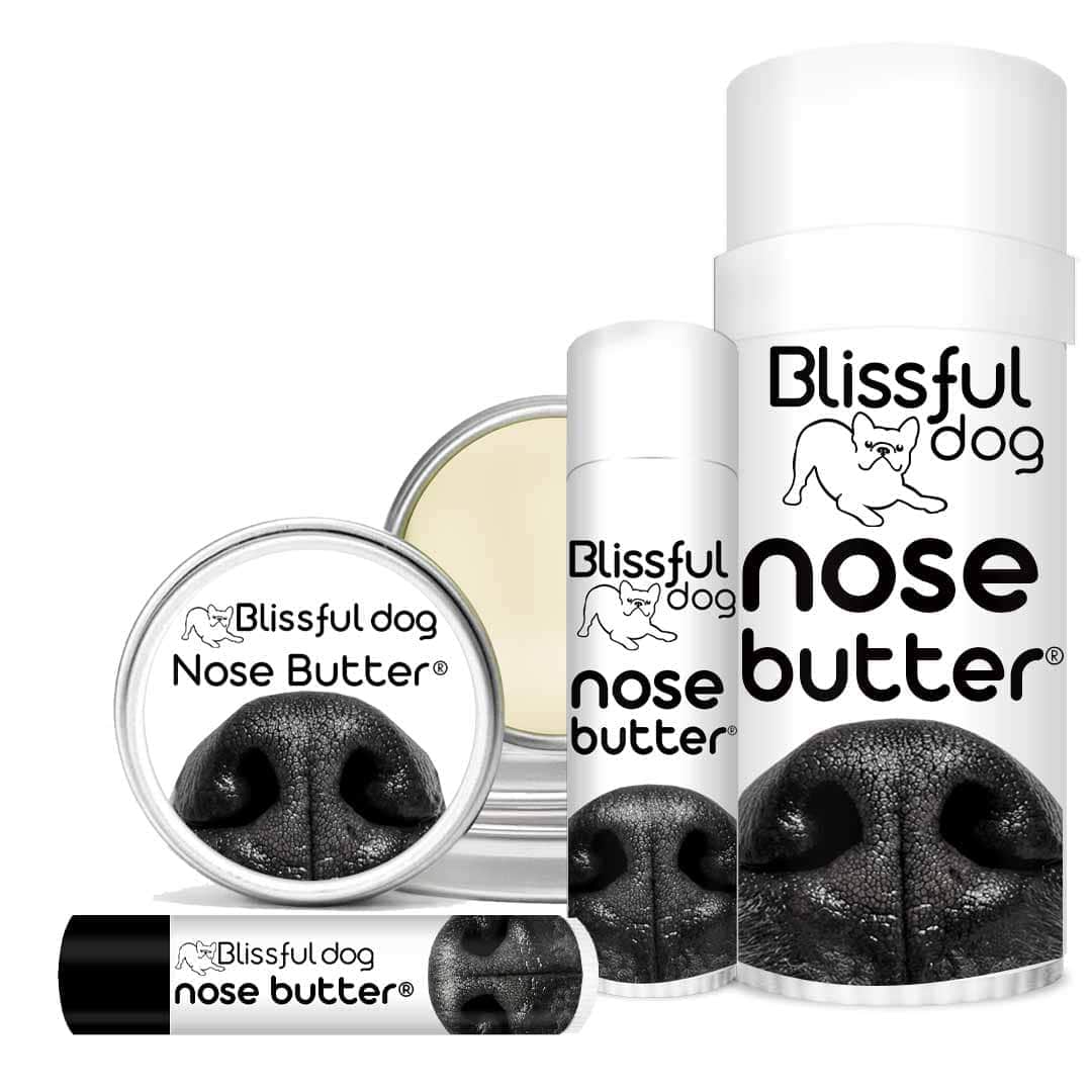 Blissful Dog Nose Butter