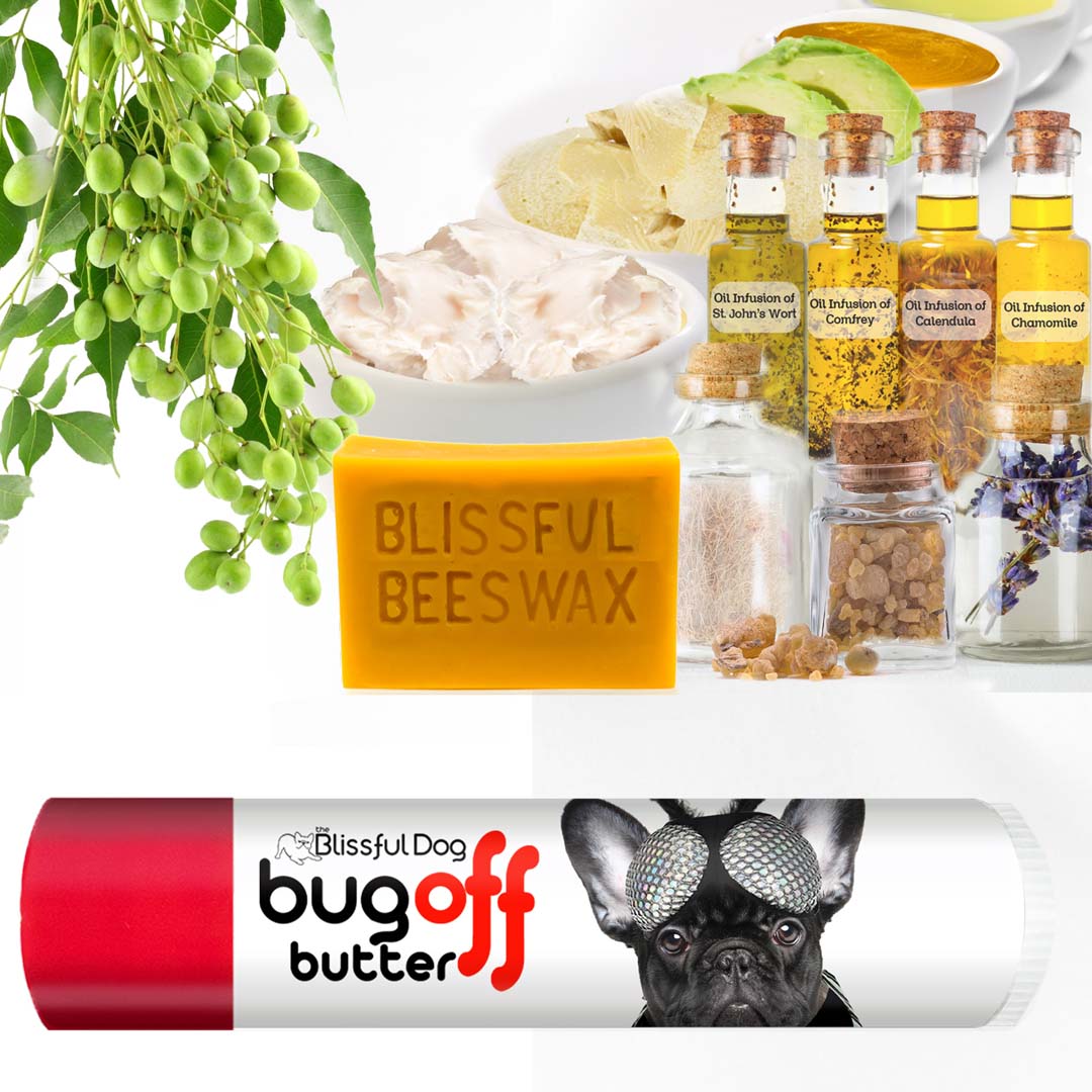 french bulldog bug balm
