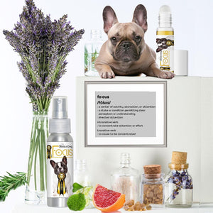 Frenchie focus dog aromatherapy
