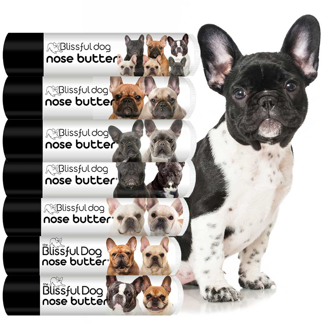 French bulldog outlet nose butter