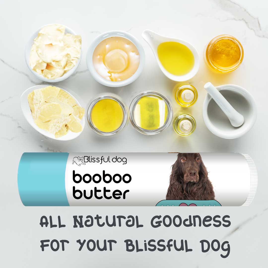 Field Spaniel skincare