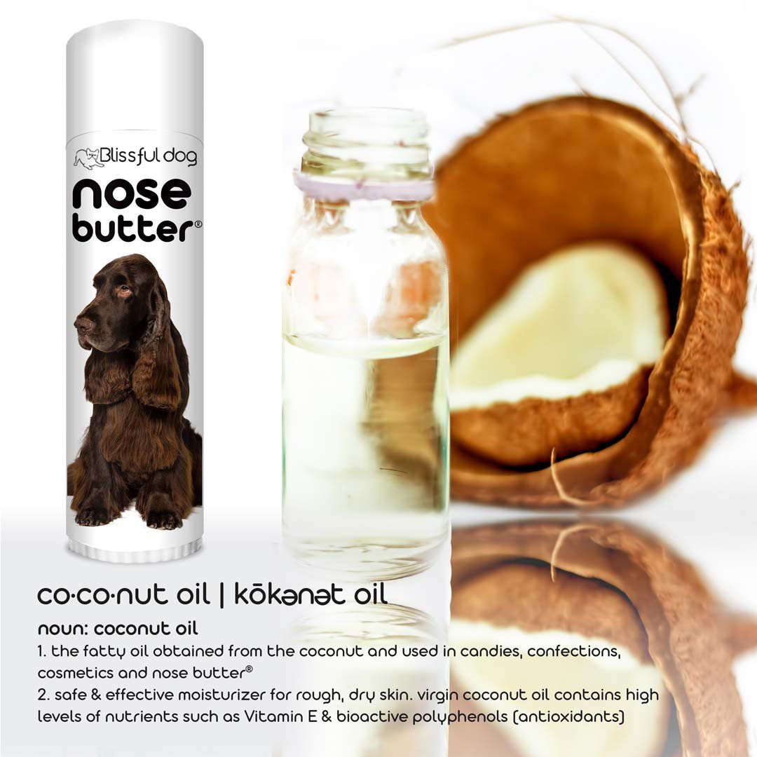 help for field spaniel dry nose