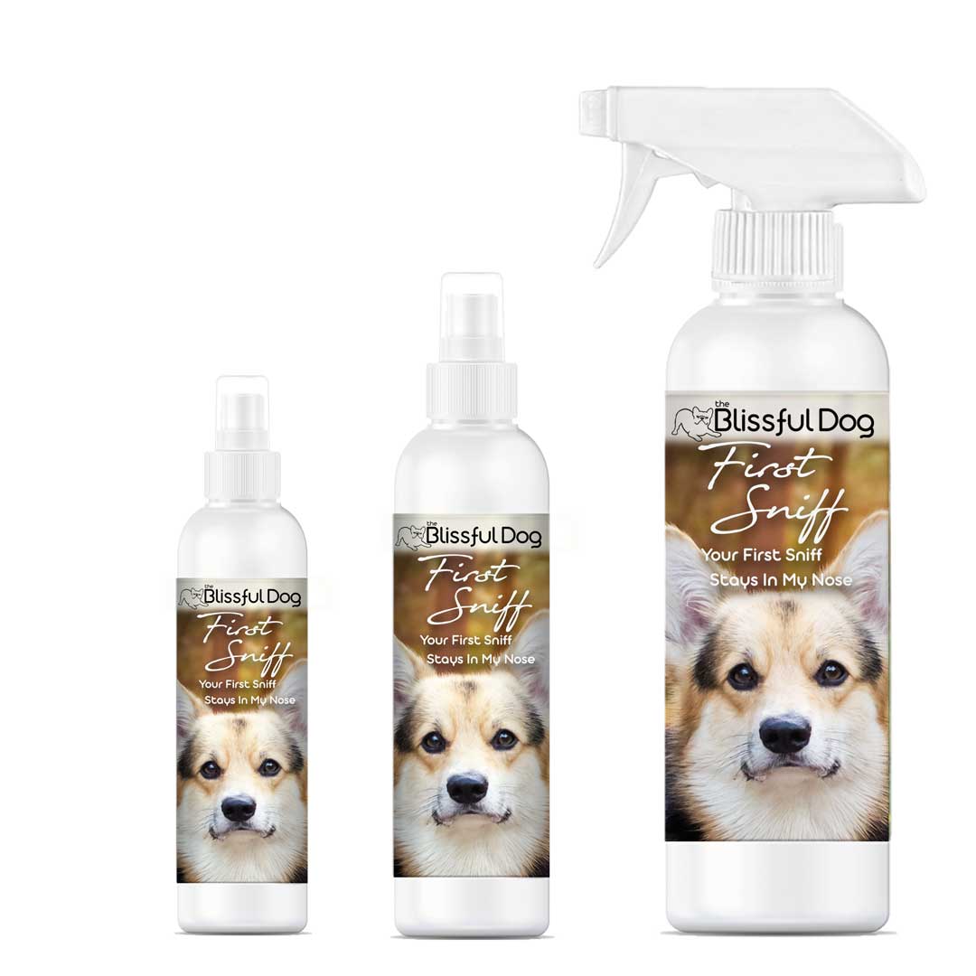 Best shampoo for shar pei best sale