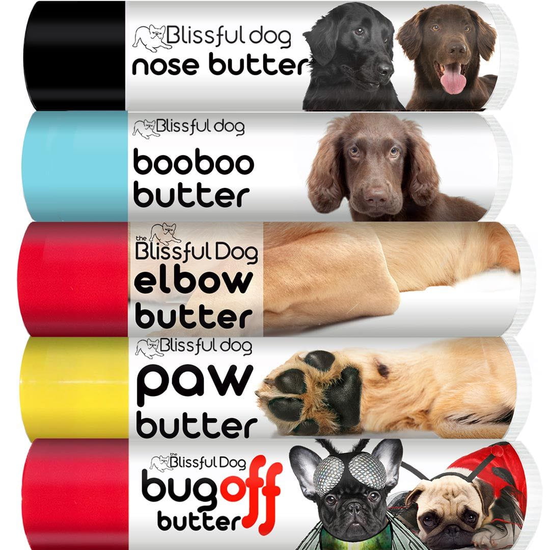 Flat-Coated Retriever skincare