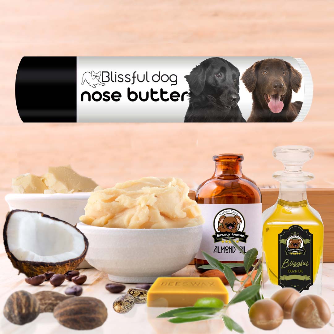 Flat-Coated Retriever Nose butter