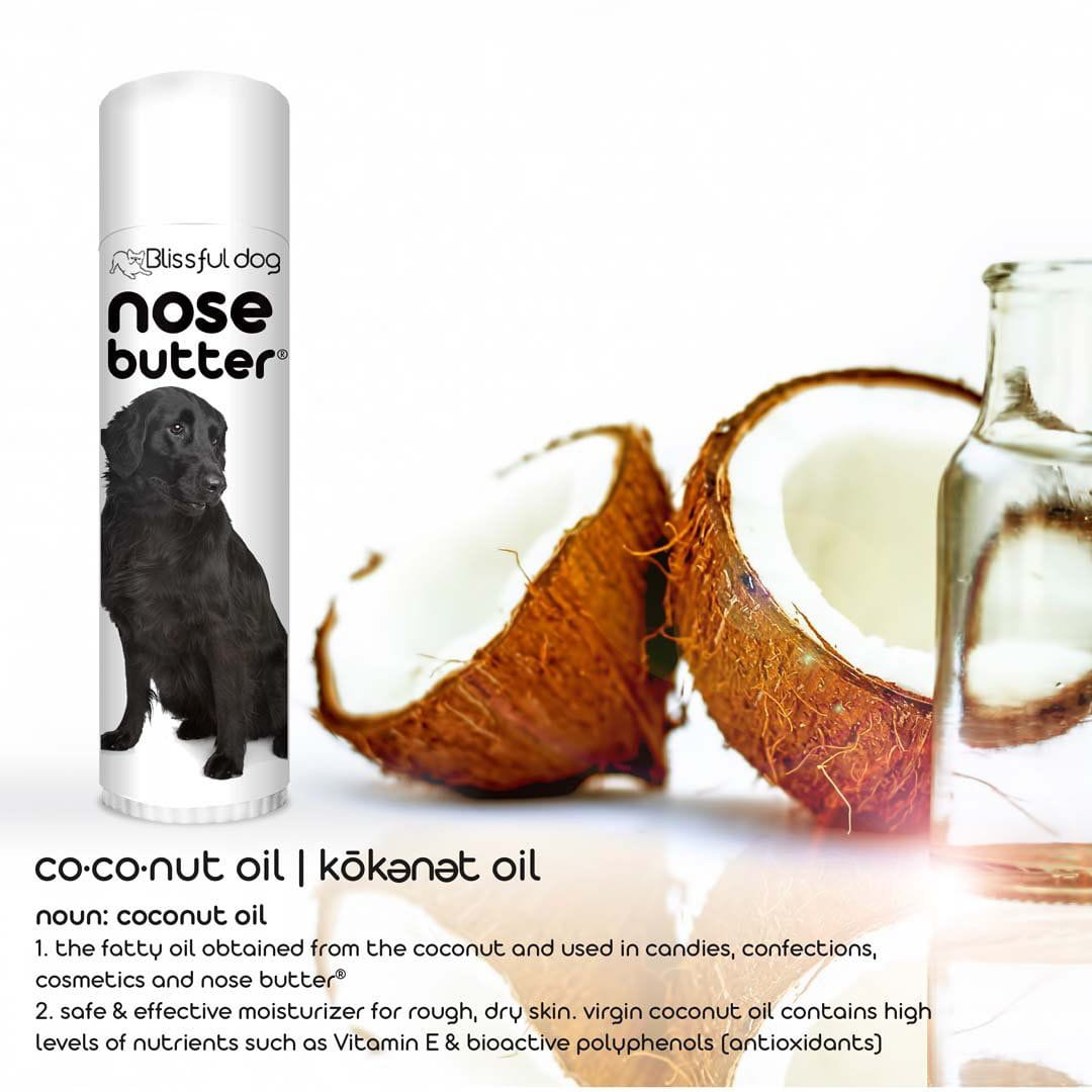 Vitamin e for dogs outlet nose