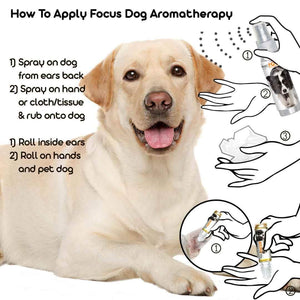 Labrador Retriever Focus Dog Aromatherapy