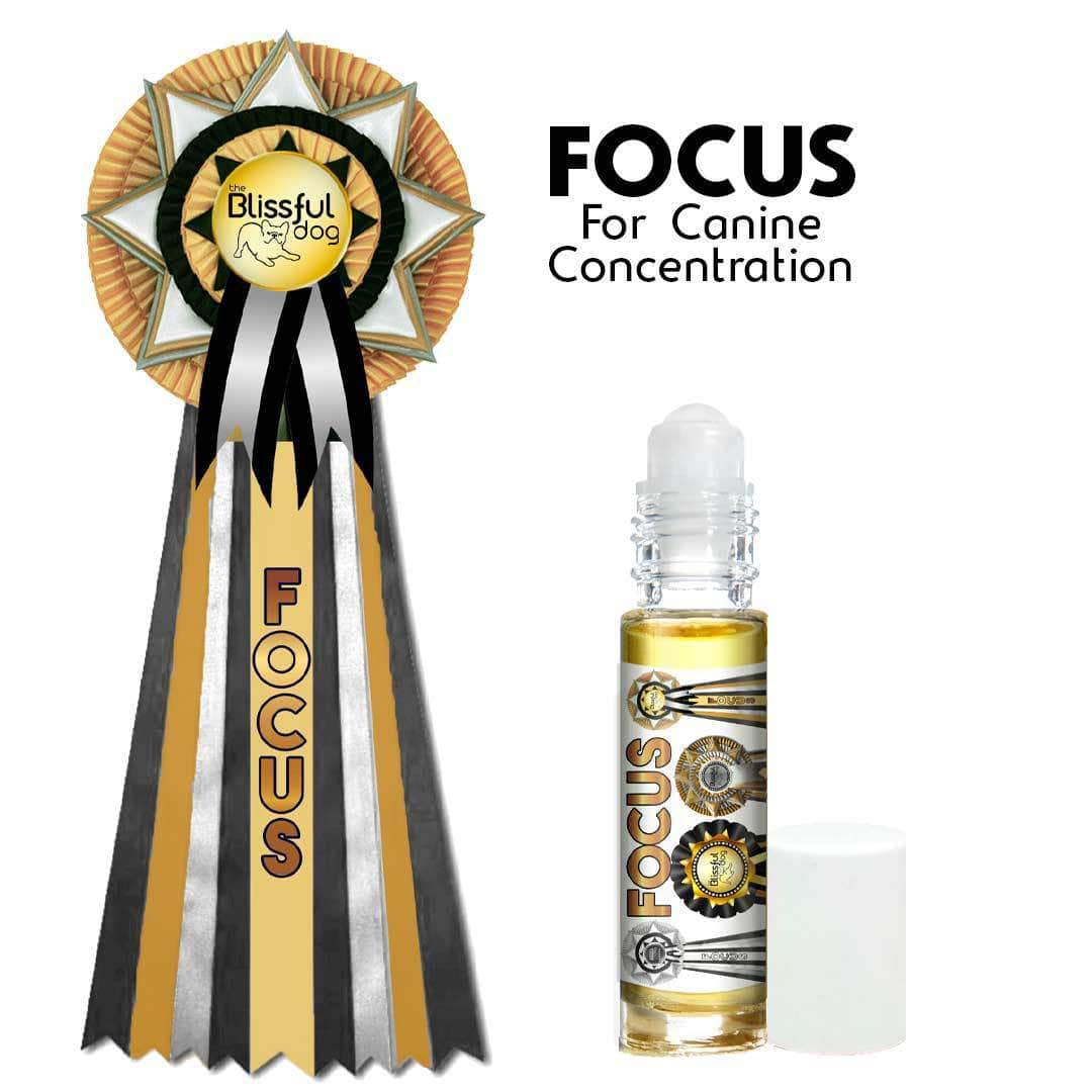 Show Me! Focus Dog Aromatherapy