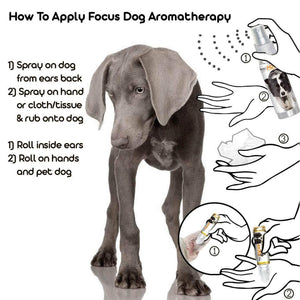Weimaraner Focus Dog Aromatherapy