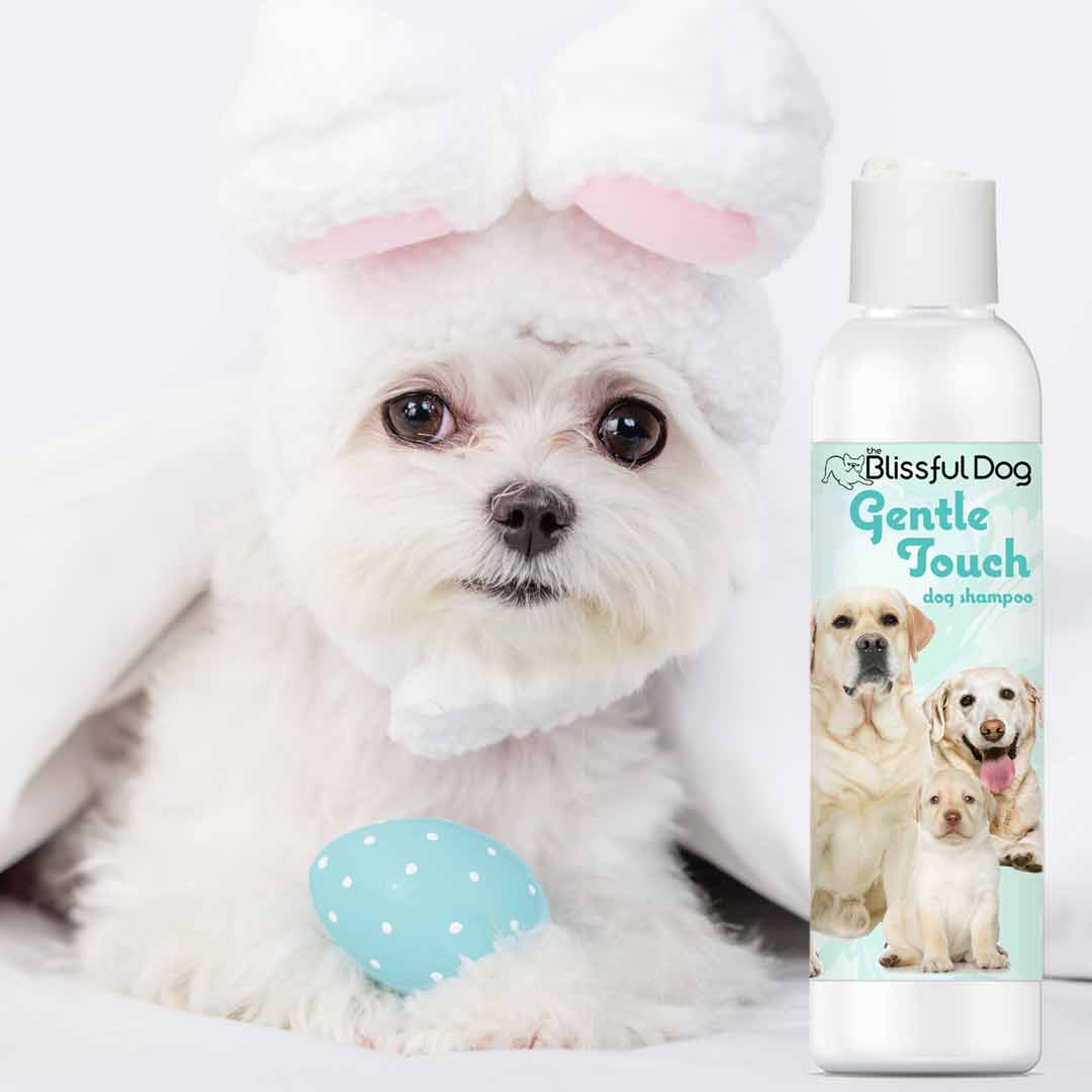 Gentle soap shop for dogs