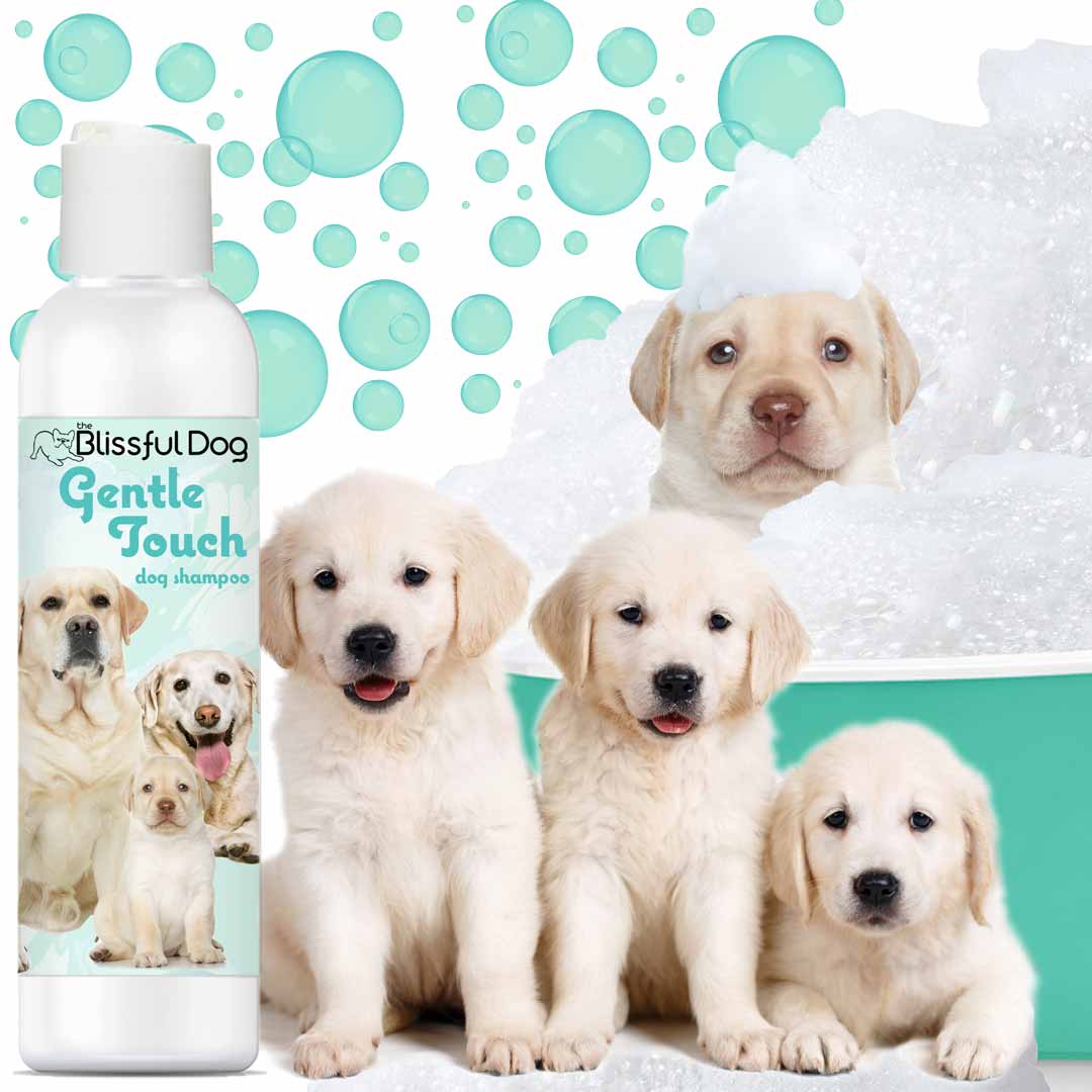 Gentle soap for best sale dogs