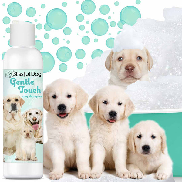 Gentle Touch Puppy Shampoo for Puppies Seniors and Sensitive