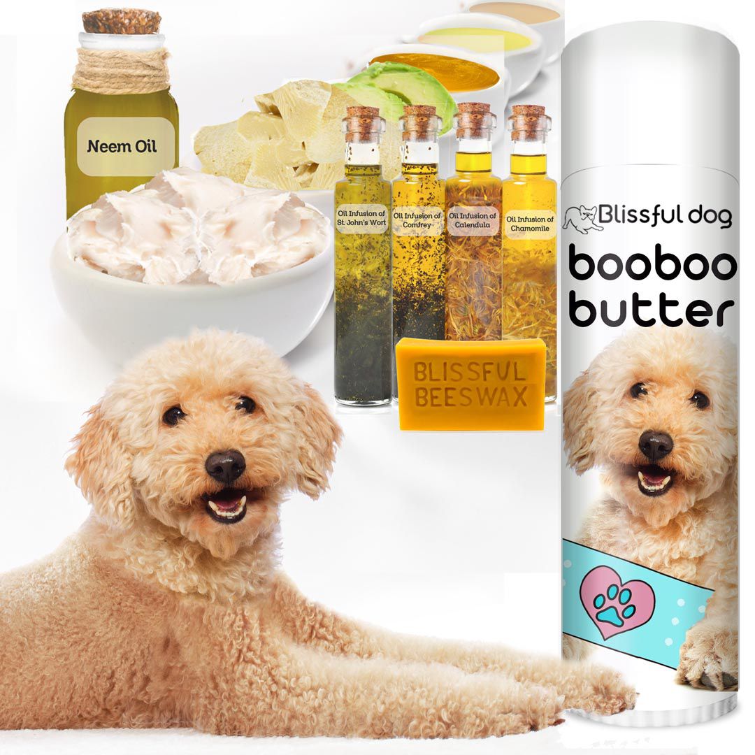 Boo Boo Butter Goldendoodle Skin Care Balm for Minor Skin Irritations
