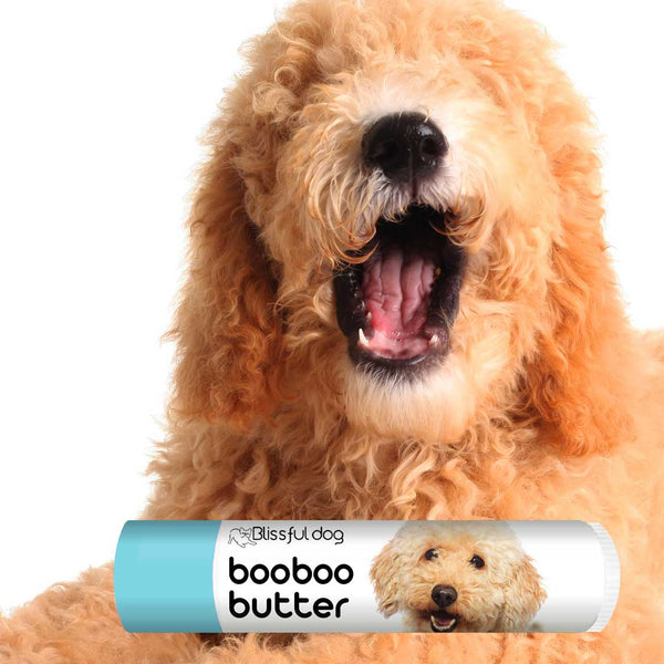 Best dog treats for goldendoodles sale