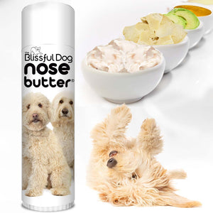 help for golden doodle dry nose