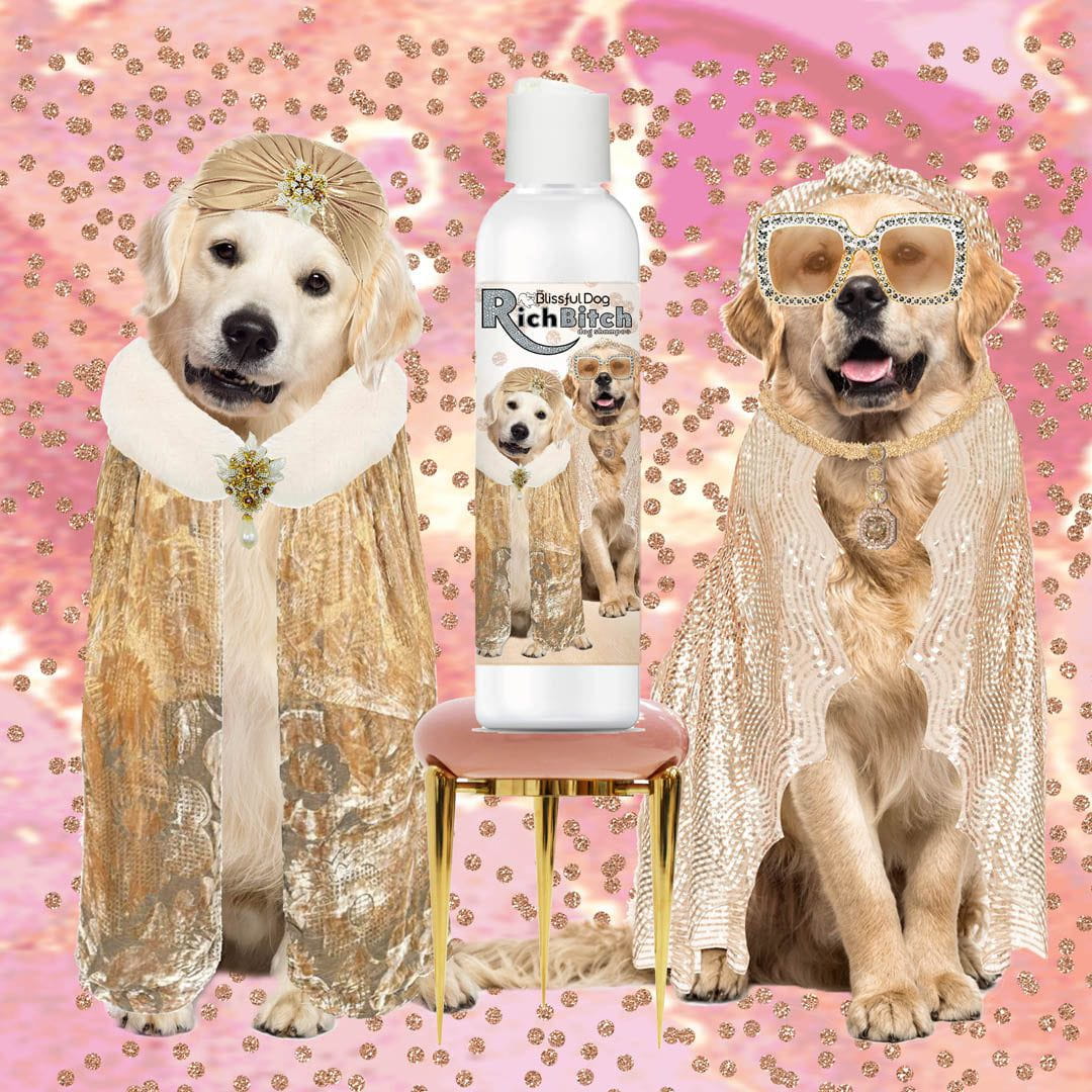 Rich Bitch & Drama Queen Shampoo = Golden Retriever Dog Bathing Bliss