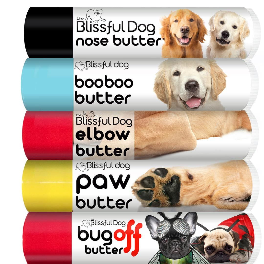 golden retriever skin balm