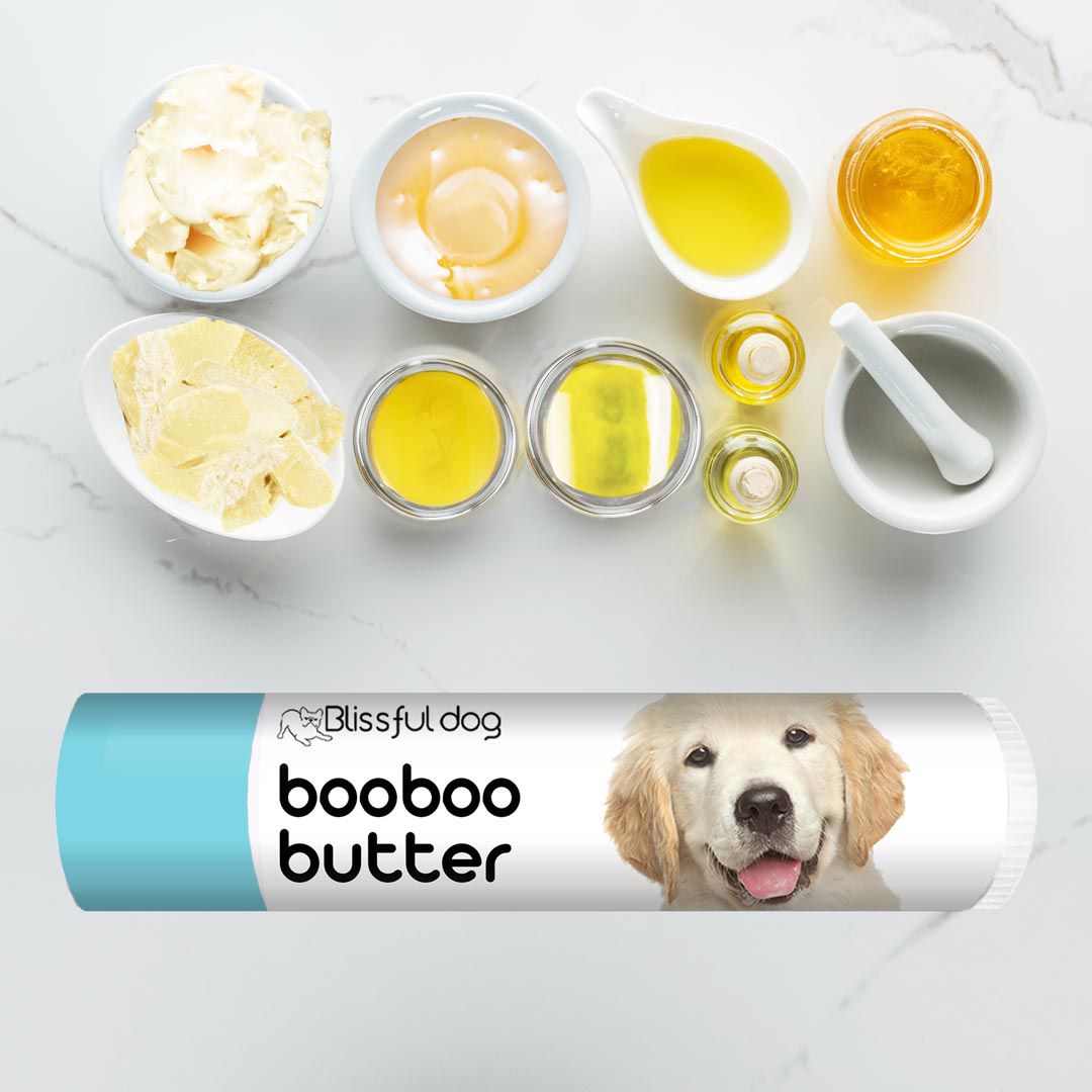 golden retriever balm for itchy skin