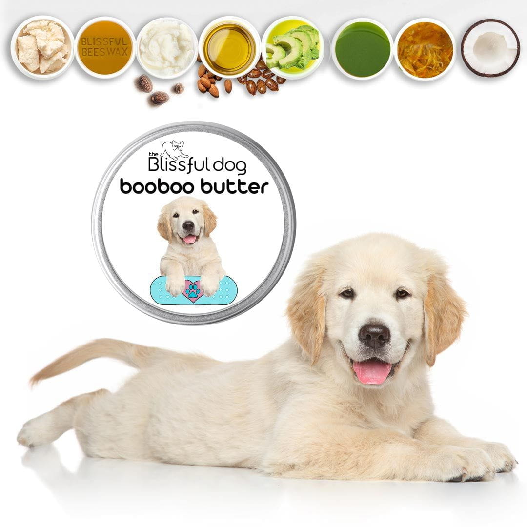 Bobs for shop dogs golden retriever