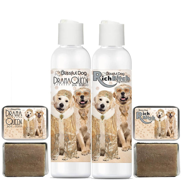 Rich Bitch Drama Queen Shampoo Golden Retriever Dog Bathing Bliss