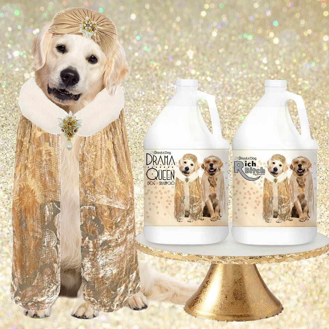 Golden retriever shampoo top