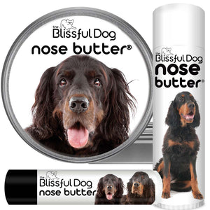 Gordon Setter dry nose treatment