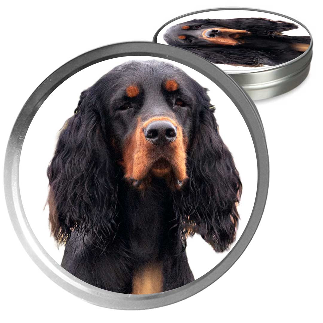 Gordon Setter 