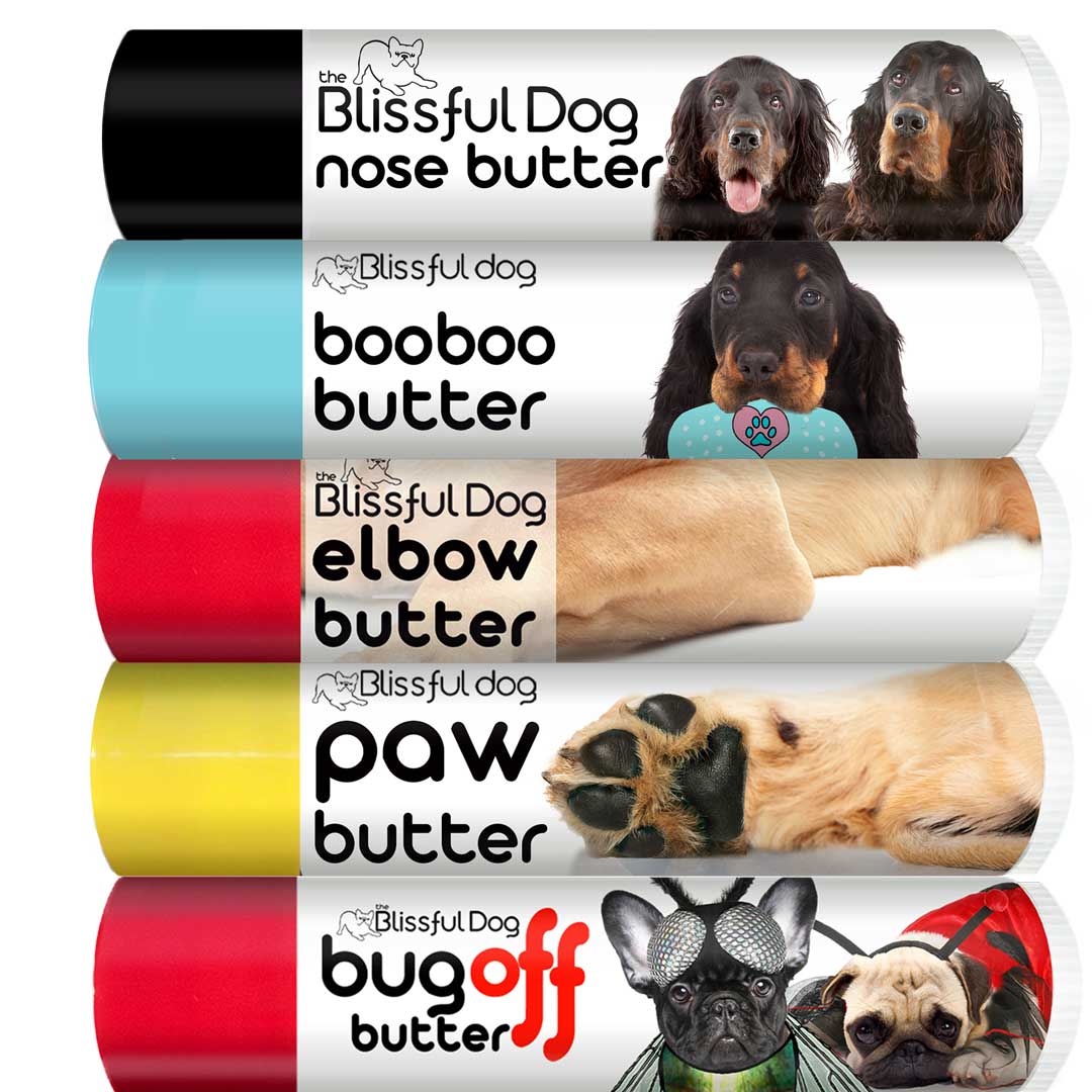 Gordon Setter Tube Combo