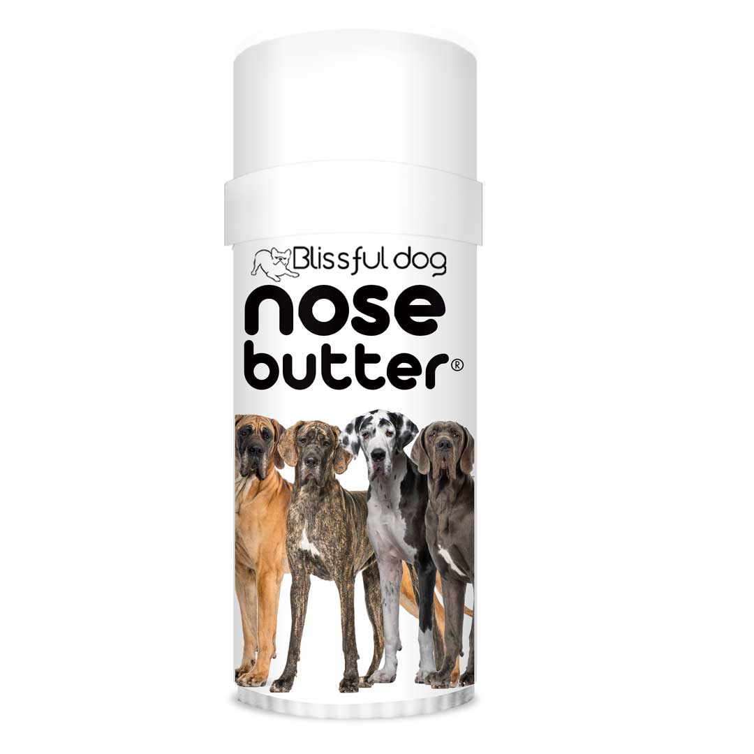 great dane nose is cracked