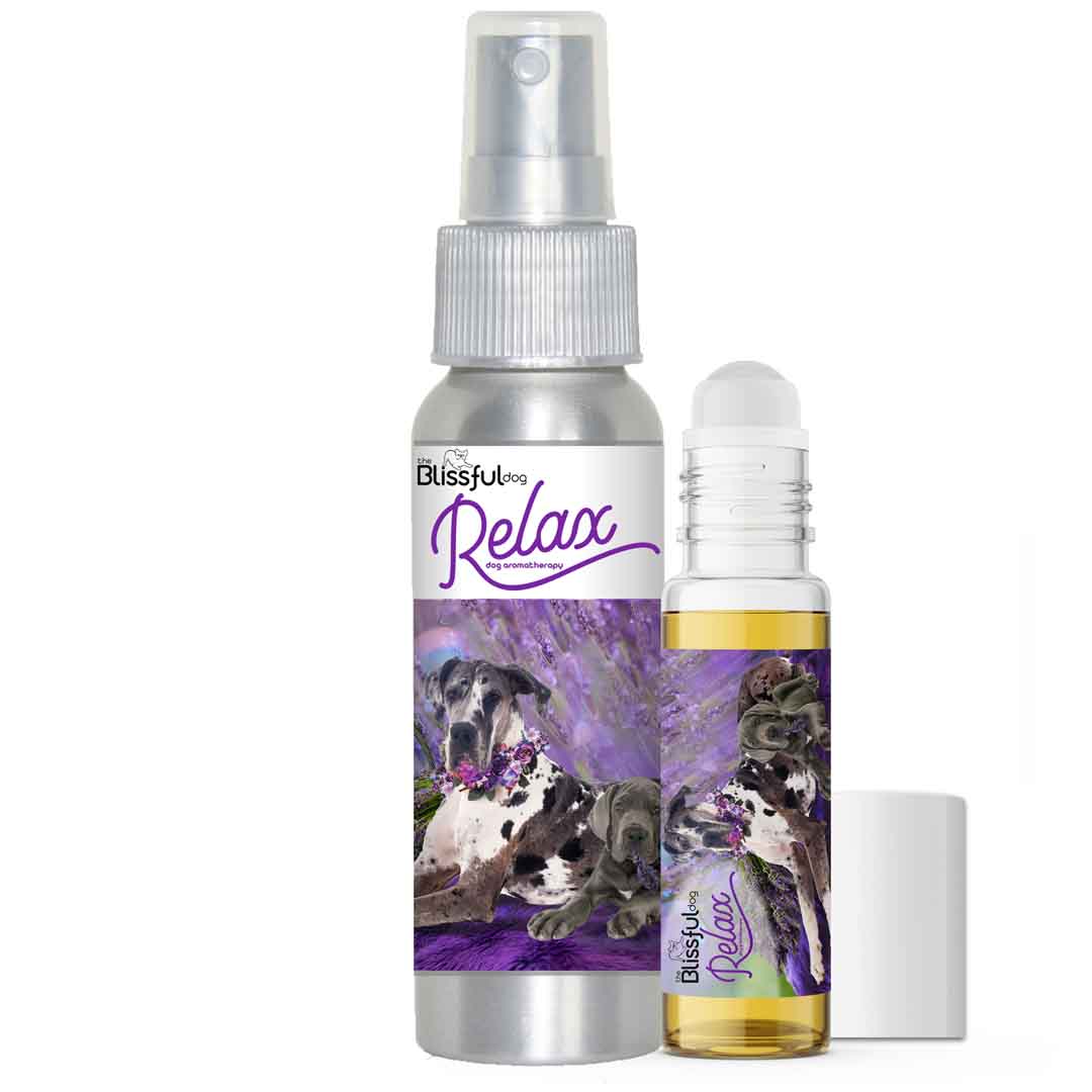 Great Dane Relax Dog Aromatherapy