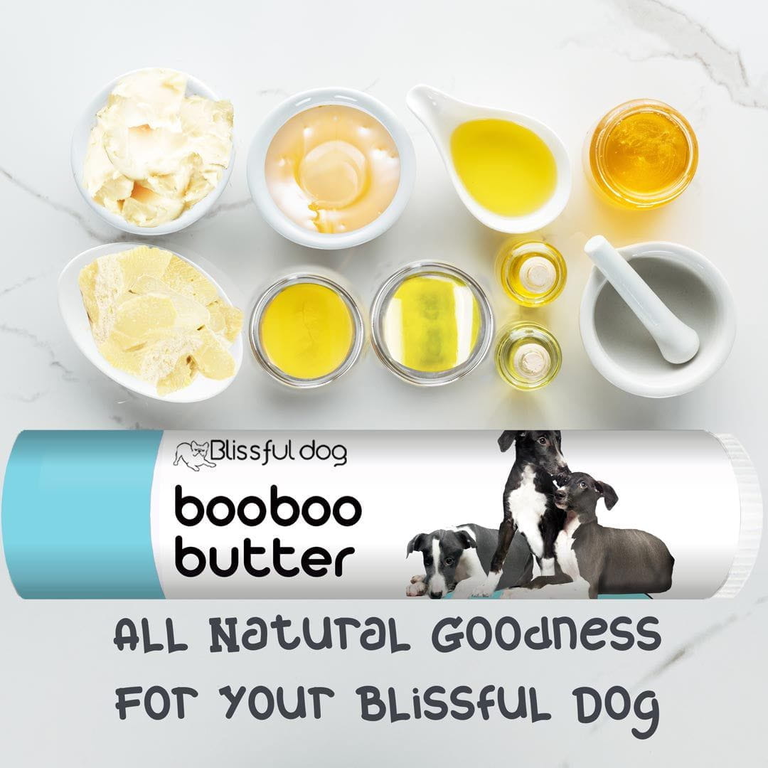 The Blissful Dog Herbal Boo Boo Butter for Greyhound Skin Irritations